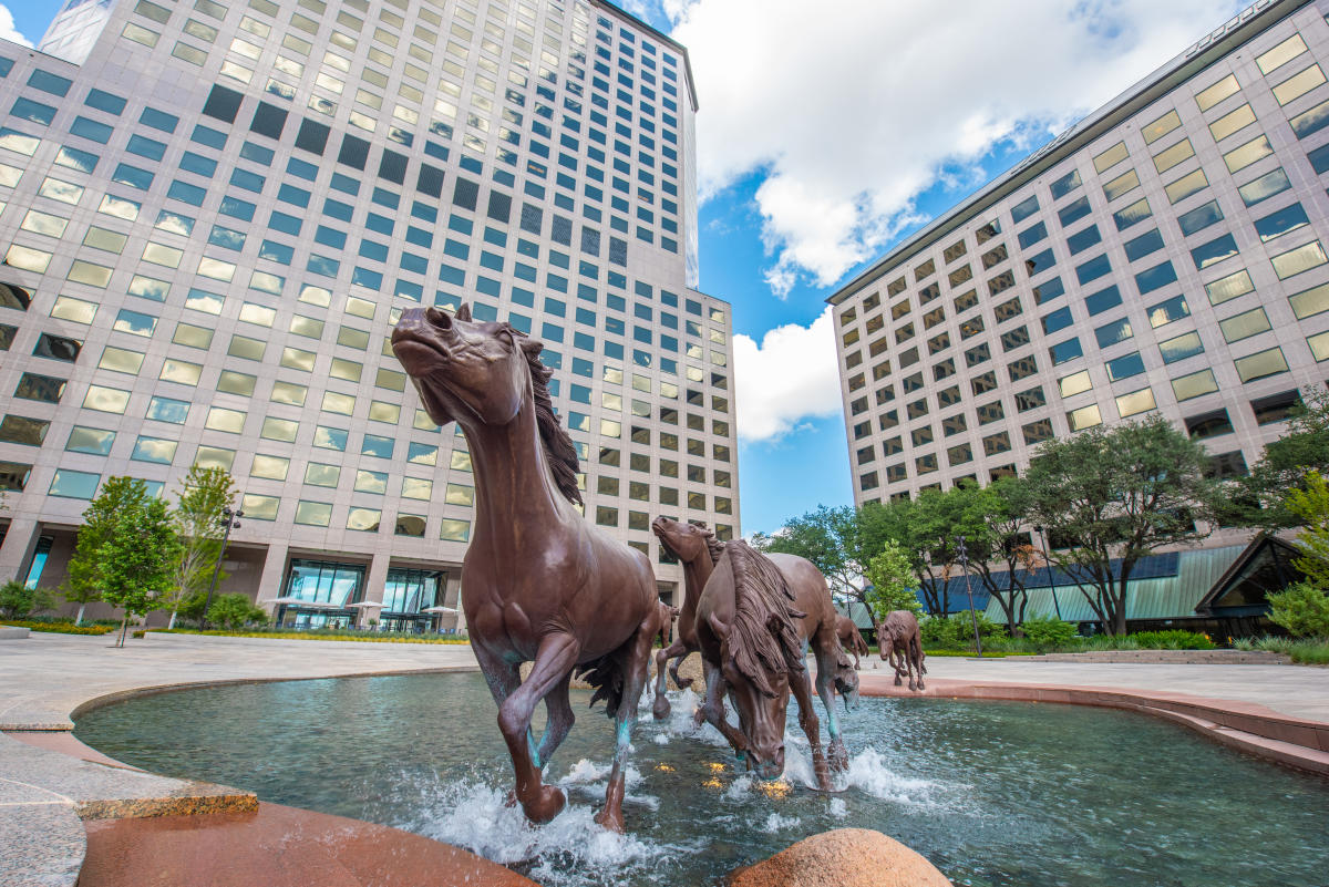 Mustangs-of-Las-Colinas-9565-1-1-_4A63450E-EA58-2513-CFDD9BF75CEB52D7-4a62dcdba3bca03_4a640af4-a6bb-1732-688191e7b86a10fd